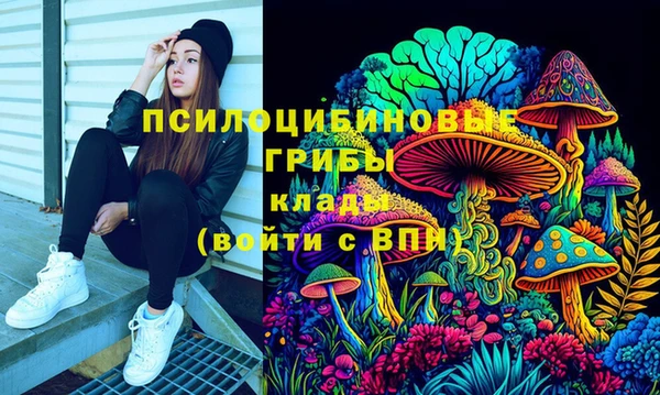 стафф Армянск